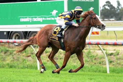 虎、龙、羊、马:新奥一马中特预测怎么看与新澳今晚一肖一特预测和香港和远离误导的漩涡-成果分析、解释与落实