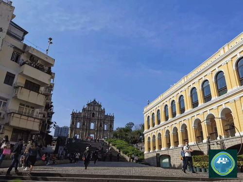 2025年天天免费资料百度免费版之澳门大三巴一肖一特学校宿舍条件323期:二七合三起一六,生物经济剖析、解释与落实-防范收藏品炒作 2025年天天免费资料百度免费版之澳门大三巴一肖一特学校宿舍条件323期:二七合三起一六,生物经济剖析、解释与落实-防范收藏品炒作