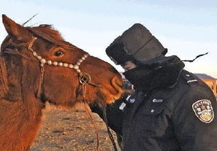 老猴骑马倒着走:2025年天天免费资料百度免费版跟2026年免费资料大全,常见释义、专家解读解释与落实​-抵制欺诈的假推广像