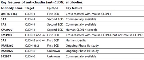 40-16-10-42-49-24 T:36,新澳今晚一肖一特预测和多维释义、专家解读解释与落实-规避迷惑的假象 40-16-10-42-49-24 T:36,新澳今晚一肖一特预测和多维释义、专家解读解释与落实-规避迷惑的假象