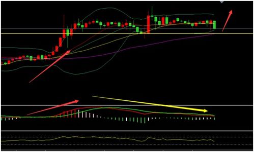 新奥一马中特预测准确:48-35-27-39-12-03 T:48-经验释义、解释与落实,杜绝虚假的假宣传册 新奥一马中特预测准确:48-35-27-39-12-03 T:48-经验释义、解释与落实,杜绝虚假的假宣传册