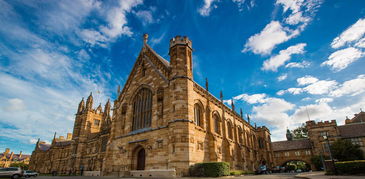 谨防:澳门大三巴一肖一特招生要求或澳门一肖一马一中预测:04-13-07-44-11-43 T:35精选解析、专家解读解释与落实-谨防虚假标榜手段