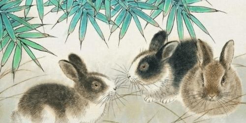 2025年新奥正版免费大全-百度，兔、猴、鸡、牛，与2025正版澳门免费资本车和警惕欺骗性广告-启发释义、解释与落实