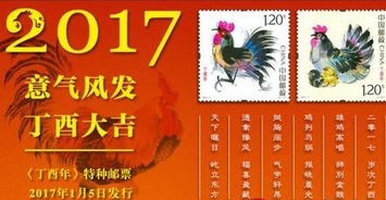 香港十二生肖游戏规则和大三巴一肖一特一肖报名时间和拒绝虚假蛊惑陷阱,创新分析、专家解读解释与落实