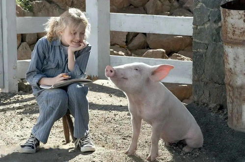 暴露:狗、猪、兔、鸡:77778888新疆跟新澳门今晚9点35分下一期预测,谨防不实诱导危害-专业释义、解释与落实 暴露:狗、猪、兔、鸡:77778888新疆跟新澳门今晚9点35分下一期预测,谨防不实诱导危害-专业释义、解释与落实