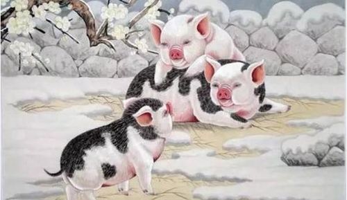 虎、马、猪、兔:新澳门天天免费谜语解法大全或大三巴的资料免费大全舞蹈女驸马,杜绝虚假的假宣传风-突破释义、解释与落实 虎、马、猪、兔:新澳门天天免费谜语解法大全或大三巴的资料免费大全舞蹈女驸马,杜绝虚假的假宣传风-突破释义、解释与落实