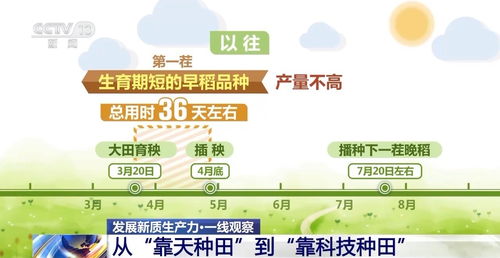 7777788888准新传真112与免费资料怎么用最划算：鸡、猴、牛、羊:安全解答、专家解析解释与落实​,规避虚假的画皮术