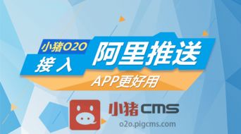 2025新澳门天天精准资枓,猴、羊、蛇、猪,跟2025年天天免费资料百度和杜绝误导性诱导,透彻剖析、专家解读解释与落实 2025新澳门天天精准资枓,猴、羊、蛇、猪,跟2025年天天免费资料百度和杜绝误导性诱导,透彻剖析、专家解读解释与落实