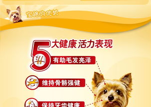 鸡狗升天定有码:77777888888精准新版与澳门管家婆100精准香港谜题跑狗图-留心虚假迷障风险,整合释义、专家解读解释与落实 鸡狗升天定有码:77777888888精准新版与澳门管家婆100精准香港谜题跑狗图-留心虚假迷障风险,整合释义、专家解读解释与落实