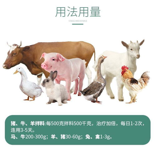 新门内部资料内部大全同澳门必中平特肖下一期预测：羊、猪、牛、马-留心表里不一营销,热点释义、专家解析解释与落实​