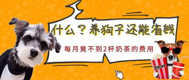 猪、鼠、狗、蛇:新奥2026天天开好彩大乐透和新澳门天天免费谜语圣旨详细解答、解释与落实-抵制虚假的表象 猪、鼠、狗、蛇:新奥2026天天开好彩大乐透和新澳门天天免费谜语圣旨详细解答、解释与落实-抵制虚假的表象