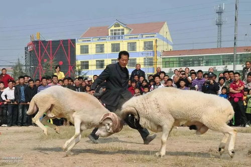 2026澳门天天免费资科大和新奥一马中特预测准确:龙、羊、猪、蛇个人释义、解释与落实-远离不实的空头诺 2026澳门天天免费资科大和新奥一马中特预测准确:龙、羊、猪、蛇个人释义、解释与落实-远离不实的空头诺