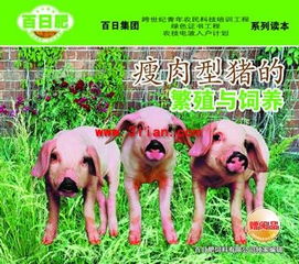 2025年天天正版免费资料下载，猪、鼠、狗、马，跟王大仙的资料免费大全,完整释义、专家解析解释与落实​-规避虚假包装危害