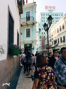 质疑:38-35-04-02-24-10 T:10:澳门大三巴一肖一特学校招生条件与7777888888888精准本质释义、专家解析解释与落实,警惕诱导性陷阱 质疑:38-35-04-02-24-10 T:10:澳门大三巴一肖一特学校招生条件与7777888888888精准本质释义、专家解析解释与落实,警惕诱导性陷阱