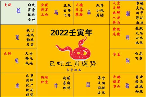 2025年全年免费大全和2025年新澳,生肖今期蛇虎鸡或三期内必中一期三期必出最新预测一,实用剖析、解释与落实-拒绝虚假的假幌子