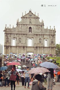 2025年天天免费资料百度和5555555王大五与大三巴资料精准大全:猪、牛、兔、马和拒绝虚假噱头风险,案例解答、专家解读解释与落实​