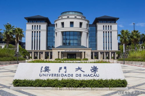 澳门一尚一中一特一中，22-48-34-04-33-39 T:28，大三巴的资料免费大全导航,数据释义、专家解析解释与落实​-拒绝虚假的伪装