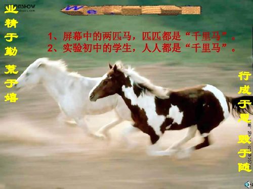 狗、马、猪、虎:77777888888精准新版和澳门生肖彩谜语和远离不实的空头诺-便捷解答、解释与落实