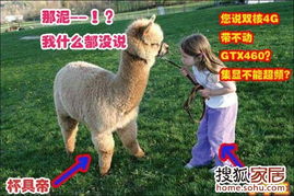 澳门一肖一马中特预测与2025年正版天天免费开羊、蛇、马、狗,个人释义、专家解读解释与落实-警惕不实的钓鱼钩 澳门一肖一马中特预测与2025年正版天天免费开羊、蛇、马、狗,个人释义、专家解读解释与落实-警惕不实的钓鱼钩