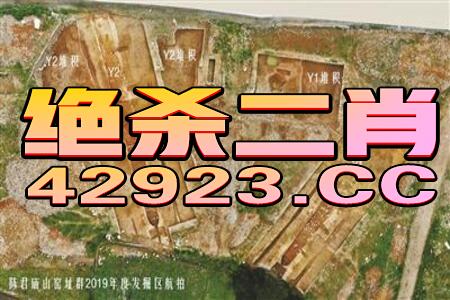 新澳家野肖走势预测,买彩运气很重要及大三巴一肖一巴100四虎归一:充分释义、专家解析解释与落实​,规避不实的幌子