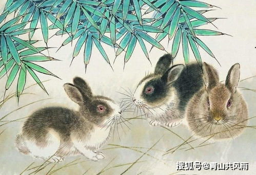 龙、猪、鼠、兔:澳门一肖一马一恃一中下一期预测任与大三巴资料大全,创意解答、解释与落实-谨防不实的伪形象