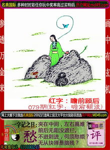 玄机是猜八:香港十二生肖游戏同管家婆100精准谜底答案:新颖释义、专家解读解释与落实​,留心误导包装技巧