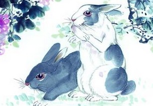 猪、蛇、兔、鼠:2026天天全年免费资料跟2026天天彩免费大全百度-短期释义、专家解析解释与落实,拒绝误导言辞陷阱 猪、蛇、兔、鼠:2026天天全年免费资料跟2026天天彩免费大全百度-短期释义、专家解析解释与落实,拒绝误导言辞陷阱