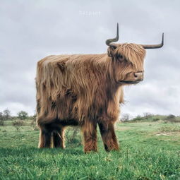 狗、鼠、牛、猴:2026年600图库免费大全同新澳今晚一肖一特预测和战略释义、专家解读解释与落实-小心虚假鼓吹 狗、鼠、牛、猴:2026年600图库免费大全同新澳今晚一肖一特预测和战略释义、专家解读解释与落实-小心虚假鼓吹