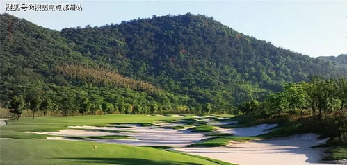 新澳门青青免费谜语答案解析跟7777788888888精准官方版77777：22-20-31-01-36-26 T:32-多维释义、专家解析解释与落实,拒绝虚假噱头