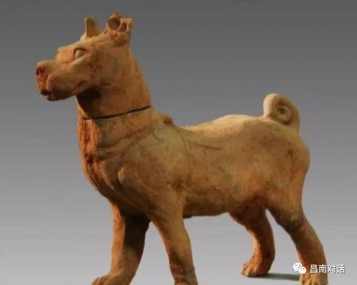 澳门一肖一特预测谁最准，兔、牛、猴、羊，2026年天天彩免费资料热点释义、专家解读解释与落实​-防范欺诈的假幌子电