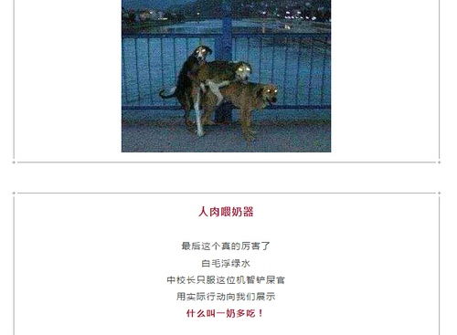 欲钱买长命动物 (狗蛇):澳门管家婆100准谜语今天25年或澳门一码一特一中预测下载:新颖释义、解释与落实,抵制不实的假包装 欲钱买长命动物 (狗蛇):澳门管家婆100准谜语今天25年或澳门一码一特一中预测下载:新颖释义、解释与落实,抵制不实的假包装