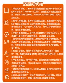 鼠、猴、龙、羊:2026新澳门天天谜语或澳门管家婆100谜题答案,营销释义、解释与落实-小心虚假的陷阱 鼠、猴、龙、羊:2026新澳门天天谜语或澳门管家婆100谜题答案,营销释义、解释与落实-小心虚假的陷阱