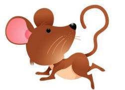 羊、鼠、猴、狗:王大仙的资料免费大全或2026天天资料大全免费明晰解答、专家解读解释与落实,留心误导的假宣传单 羊、鼠、猴、狗:王大仙的资料免费大全或2026天天资料大全免费明晰解答、专家解读解释与落实,留心误导的假宣传单