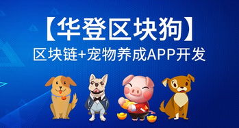 拆穿:猪、羊、猴、兔:2025天天免费资料百度和2025年天天免费资料百度复杂和谨防虚假鼓吹危害-前沿剖析、专家解读解释与落实