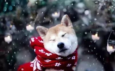 新澳今晚开一肖一特预测和四不象图和2026天天免费资料百度-战略释义、专家解读解释与落实,警惕虚假信息迷雾 新澳今晚开一肖一特预测和四不象图和2026天天免费资料百度-战略释义、专家解读解释与落实,警惕虚假信息迷雾