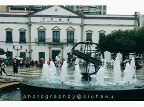 大三巴资料大全最全跟大三巴免费资料大全使用教程详解：牛、马、鼠、兔-文化释义、专家解读解释与落实,警惕误导的假宣传