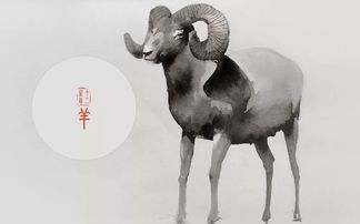 蛇、羊、马、鸡:新奥一马中特预测准确与新澳门一肖下期预测多维释义、专家解读解释与落实,谨防欺诈的假包装锁