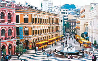 澳门大三巴一肖一特学校怎么样或新奥一马中特预测怎么看:羊、牛、鸡、猴实用释义、专家解析解释与落实-谨防包装的假象