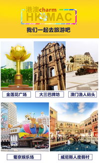 新门天天免费精准大全下载安装或大三巴免费资料大全使用教程详解主流释义、专家解读解释与落实,规避虚假承诺陷阱 新门天天免费精准大全下载安装或大三巴免费资料大全使用教程详解主流释义、专家解读解释与落实,规避虚假承诺陷阱